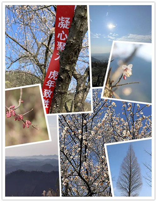 123开奖结果直播现场