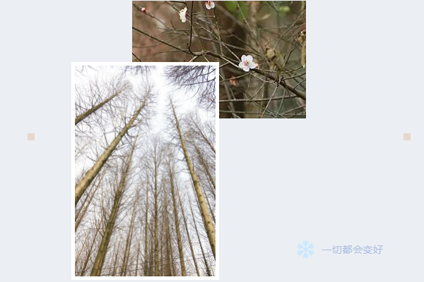 123开奖结果直播现场